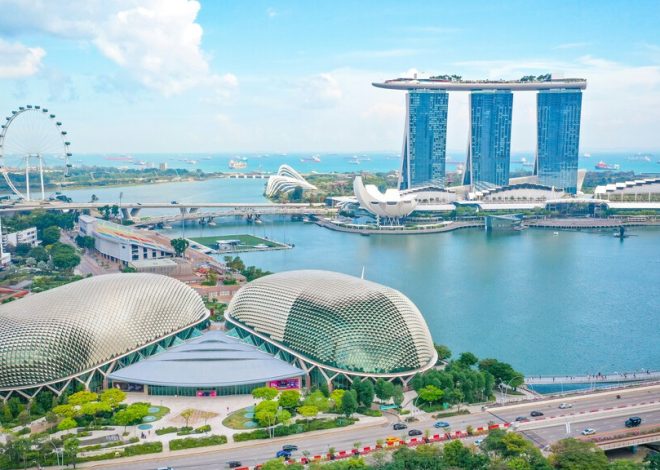 En Singapur hay apenas 11 coches por cada 100 habitantes. La razón: un certificado que convierte cualquier coche en todo un lujo